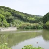 池