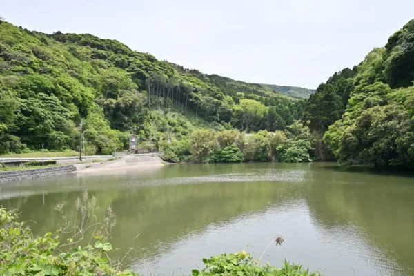 池