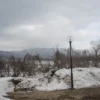 周辺の風景
