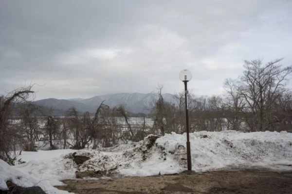 周辺の風景