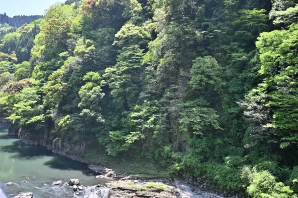 杖立川