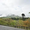 大山