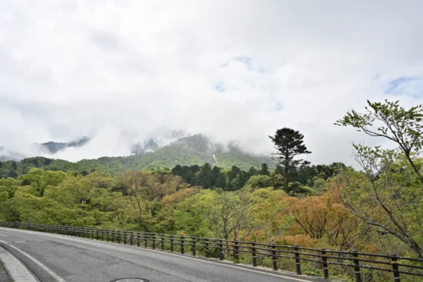大山