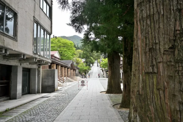 御幸参道本通り、角磐山 大山寺