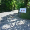 浜児ヶ水区 温泉 日本一安い、猫