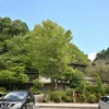 飛騨川温泉 しみずの湯