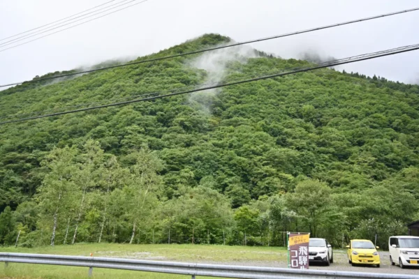 向かいの山
