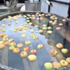 りんご湯