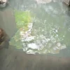 露天風呂