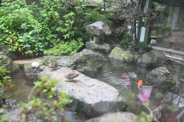 中庭