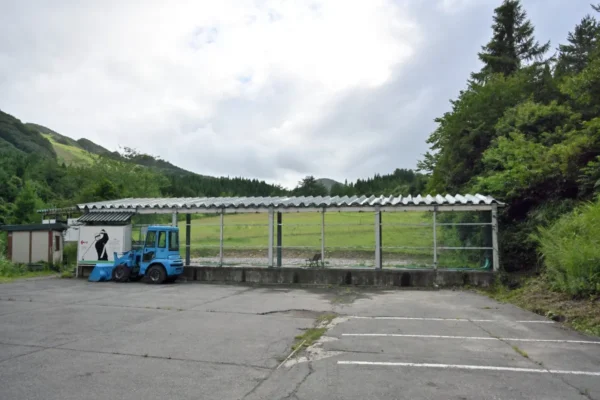 ゴルフ打ちっぱなし？