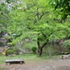 周辺の池