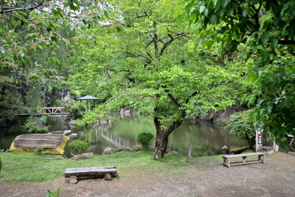 周辺の池