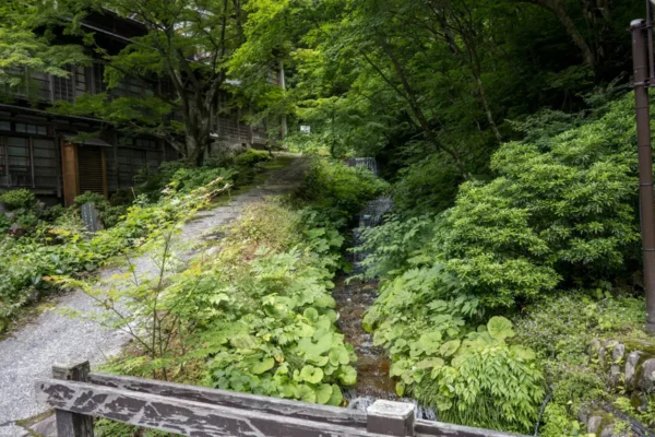 法師温泉 長寿館