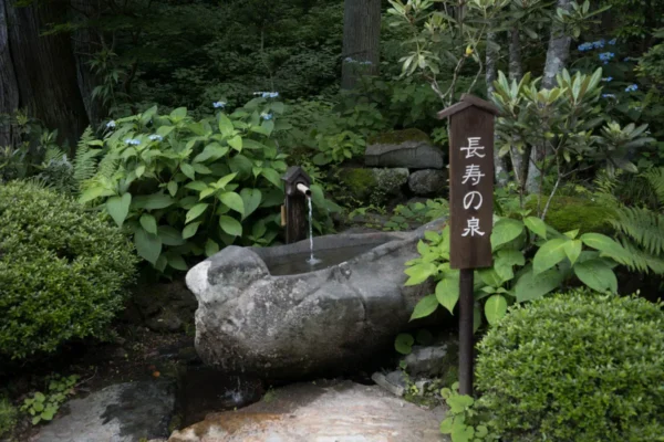 長寿の泉