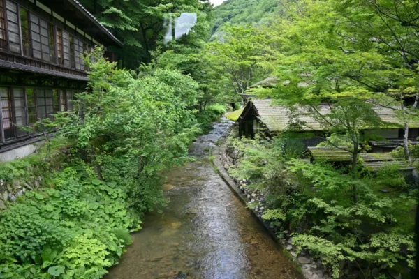 渡り廊下からの景色