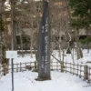 庭園