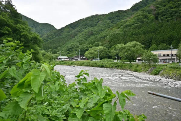 ホテル湯の陣
