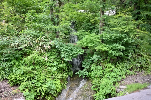 ホテル湯の陣