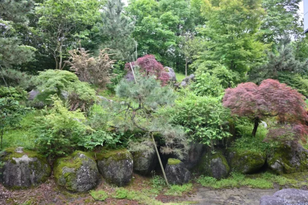 庭園
