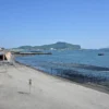 鹿児島湾　海岸