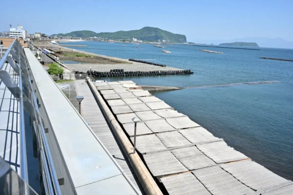 砂蒸し、鹿児島湾