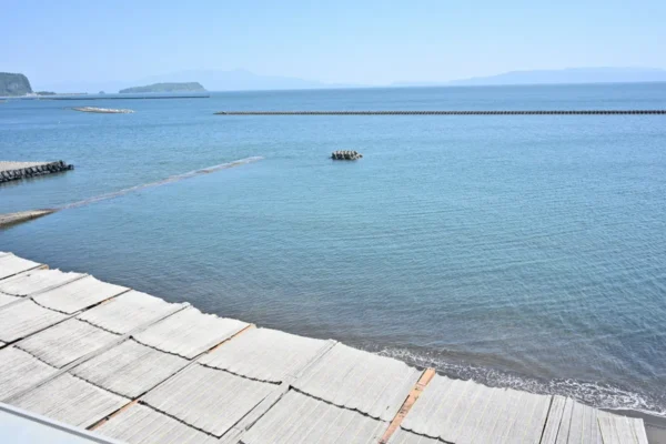 鹿児島湾の海