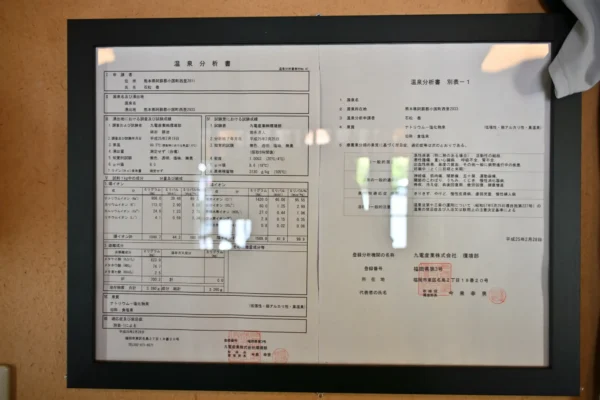 温泉分析書