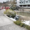 庭、池