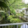 庭の池