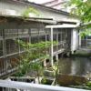 庭の池