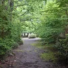 休憩所から見える風景、森