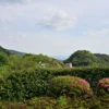 霧島国際ホテルからの風景
