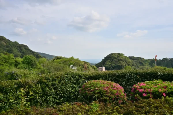 霧島国際ホテルからの風景