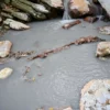 霧島温泉郷 目の湯