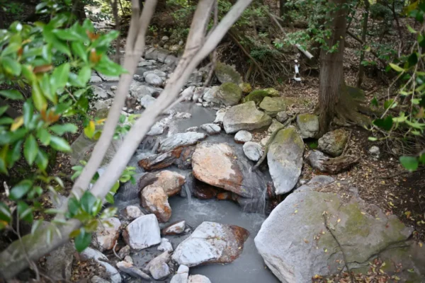 霧島温泉郷 目の湯