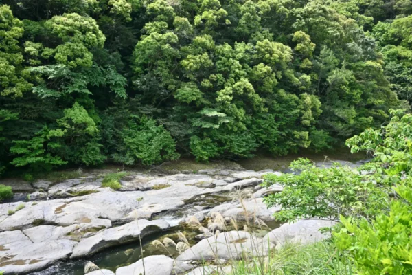 神ノ川