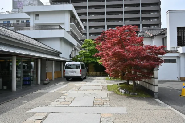 観水庭こぜにや
