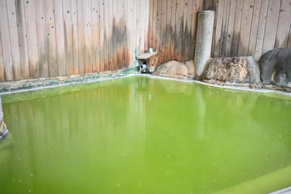 内湯