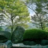 露天風呂からの風景