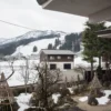 庭、景色