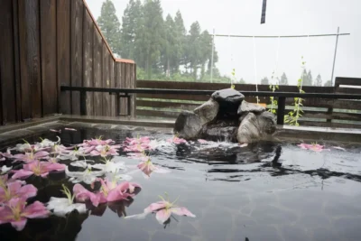 新潟県ランキング8位 日帰り温泉 見晴らしの湯 こまみ