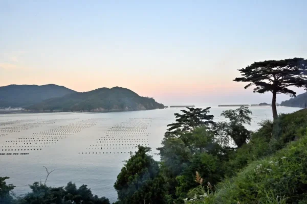 大船渡湾
