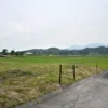 周りの風景