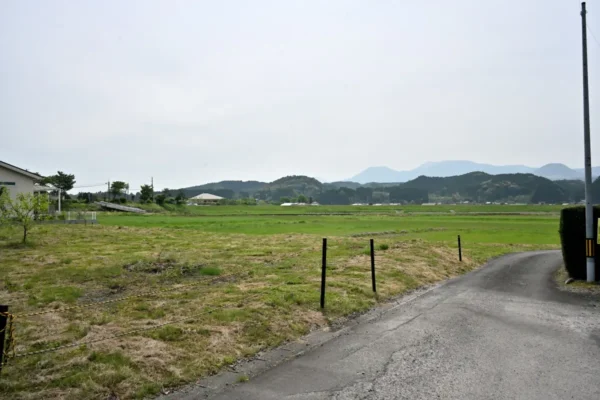 周りの風景