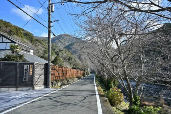 大沢温泉 依田之庄