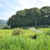大塚温泉 金井旅館