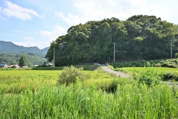大塚温泉 金井旅館