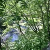 ベランダからの風景