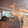 金の鳳凰オブジェ